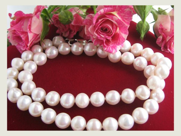 Ширингина Армоним