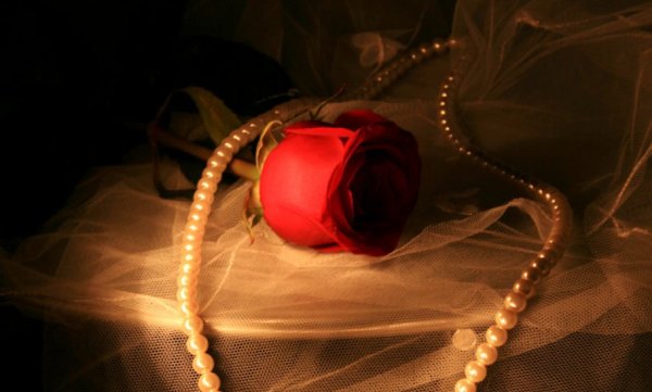 Розы с бусами