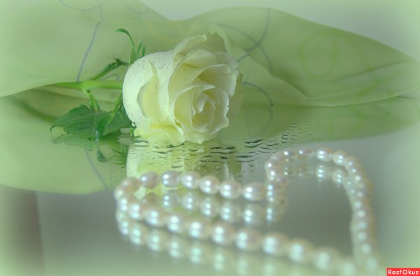 Красивые цветы с жемчугом