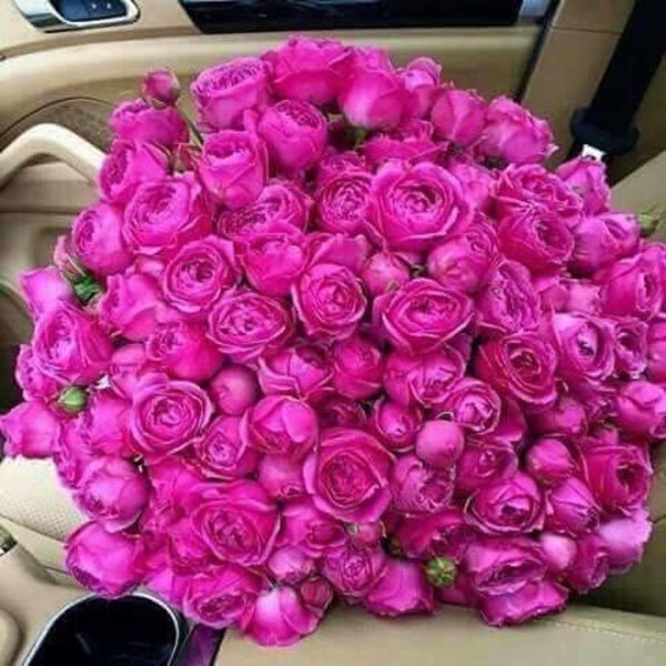 Цветы для прекрасной леди