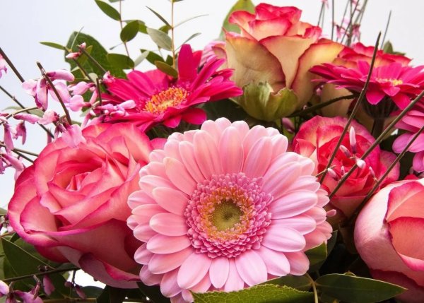 Цветы лилии орхидеи букет