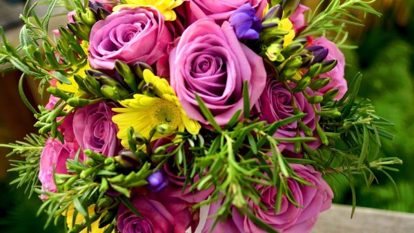 Красивейшие букеты