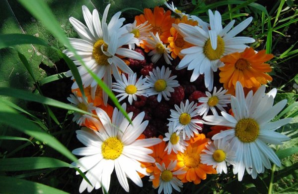 Пусть все будет хорошо