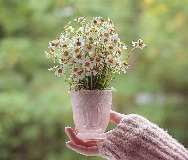 Жазгул Жамангулова