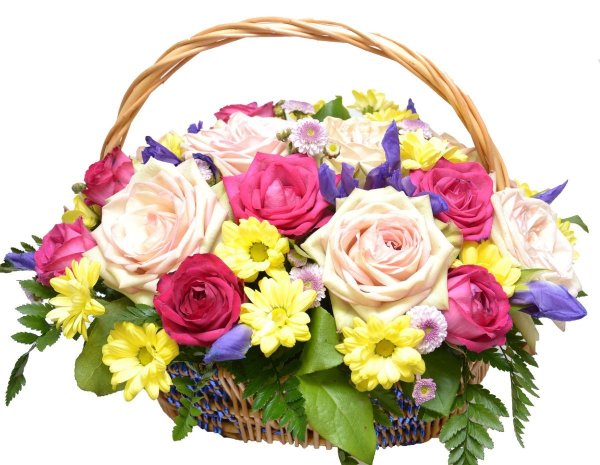 Яркие хризантемы