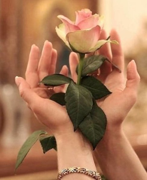 Да будет счастье