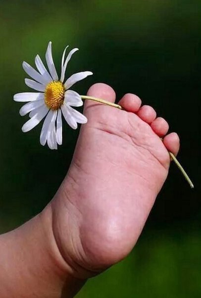 Открытки с пожеланиями