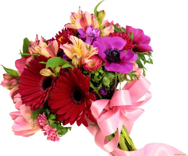 Цветы букет