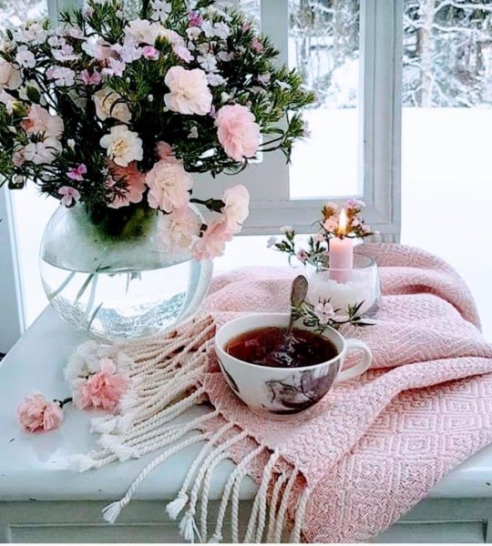 Доброе утро зимние цветы