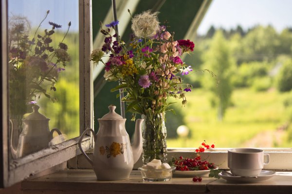 Уютное летнее утро