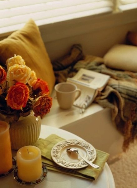 Тепло и уют в доме цветы