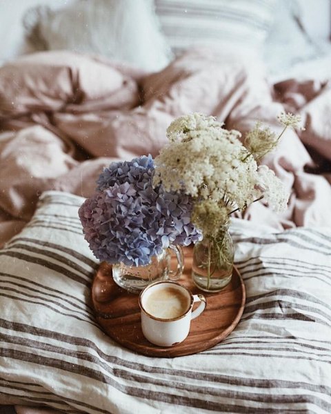 Уютное утро