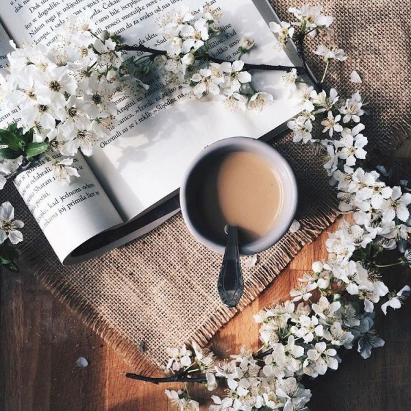 Эстетика тесто лето