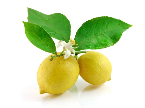 Лимонад мандарин юдзу