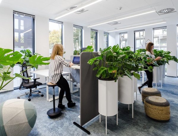 CДС "зеленый офис.ECOGREENOFFICE"