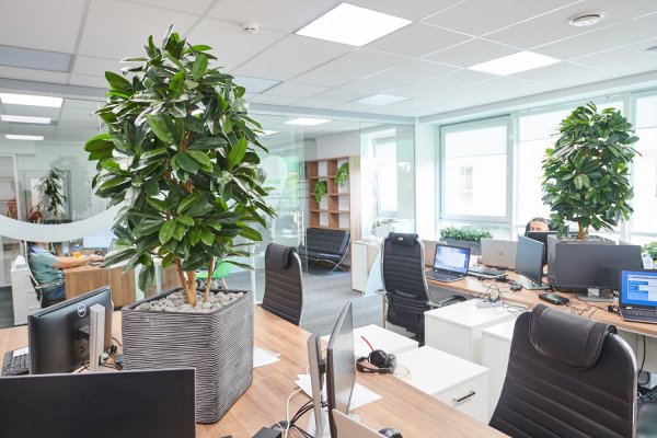 Фитодизайн офиса