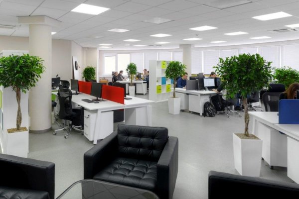 Озеленение офиса