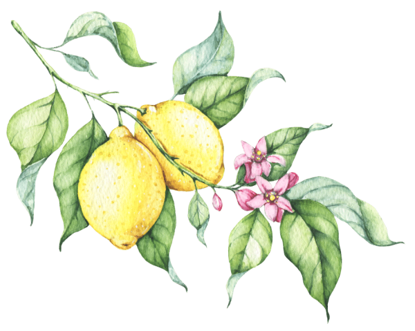 Лимон акварелью