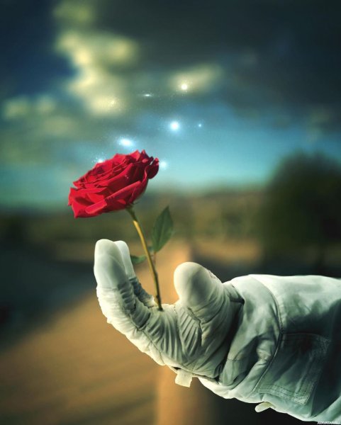 Женская рука с цветком