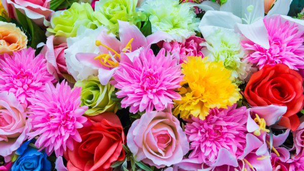 Крокусы и примула