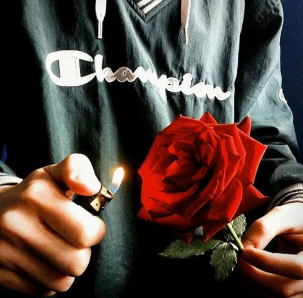 Пассифлора или страстоцвет