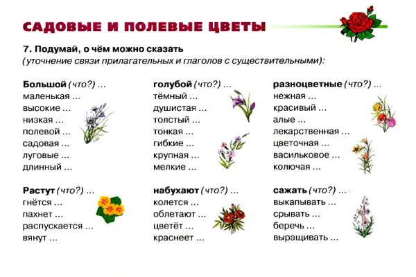 Демонстрационный материал цветы