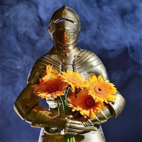 Рыцарь с розой