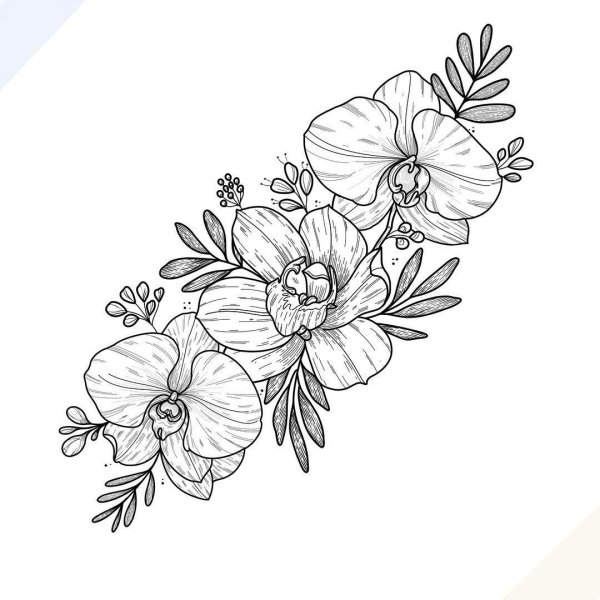 Эскиз цветов для тату орхидеи