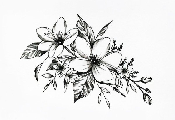 Эскизы цветов