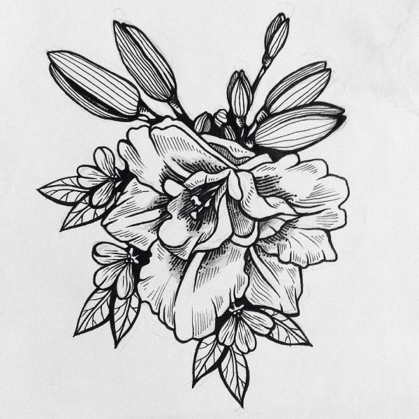 Цветы эскиз