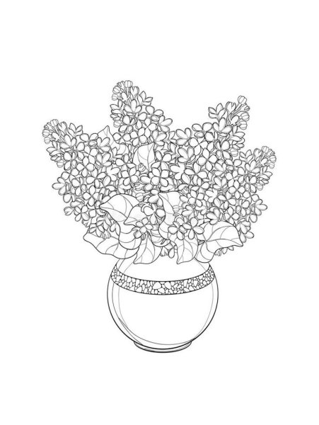 Цветы в вазе раскраска для детей