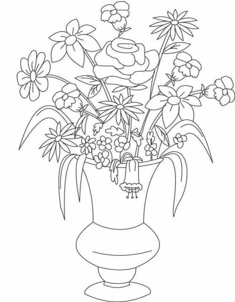 Тюльпан раскраска