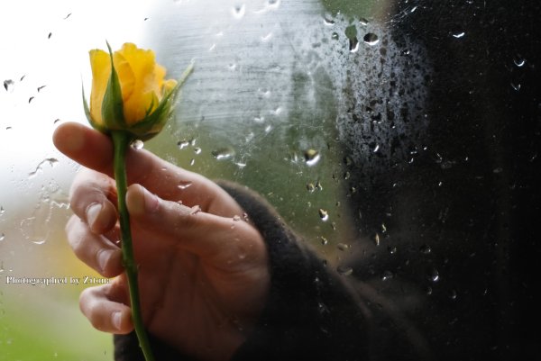 Прощальные цветы