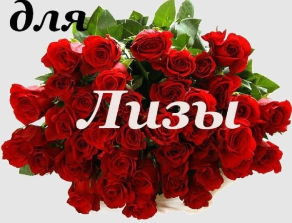 С днём рождения Лиза
