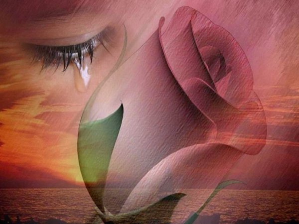 Цветы и слезы