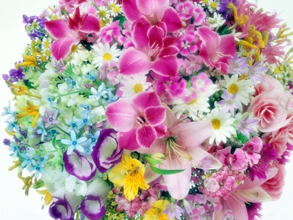 Открытки с букетами цветов красивые