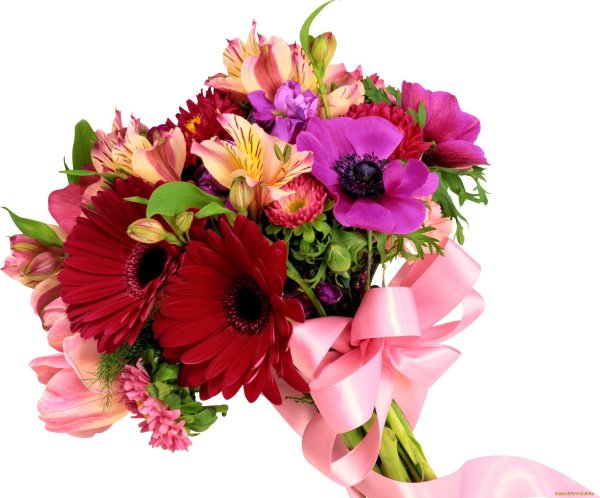 Огромный букет