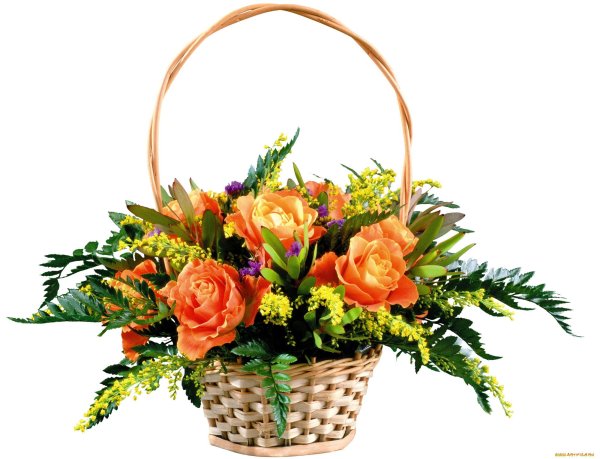 Цветы в корзинке на прозрачном фоне