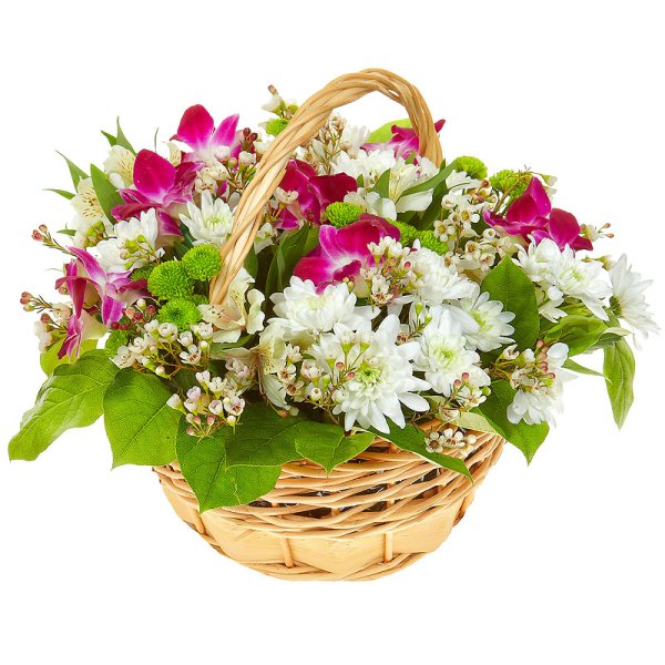 Корзинка с цветами на прозрачном