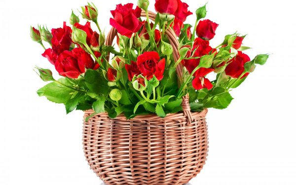 Корзина с цветами