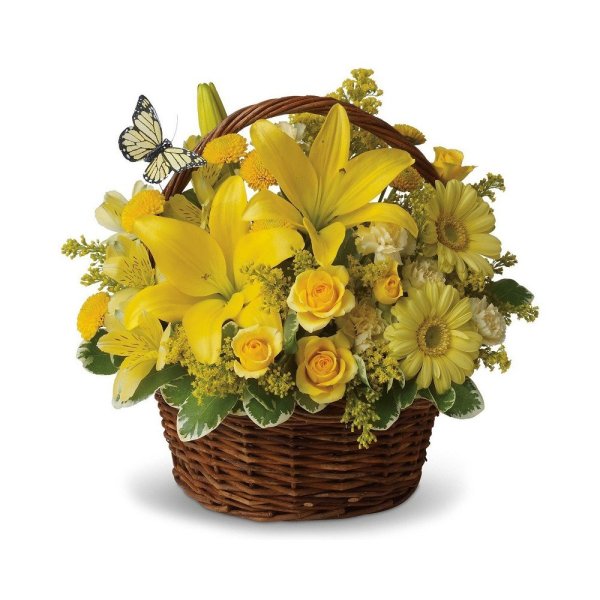 Цветочные композиции на прозрачном фоне