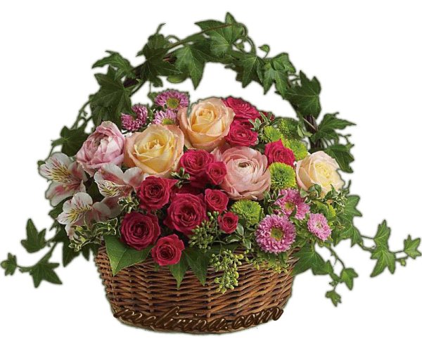 Баскет Роуз розы