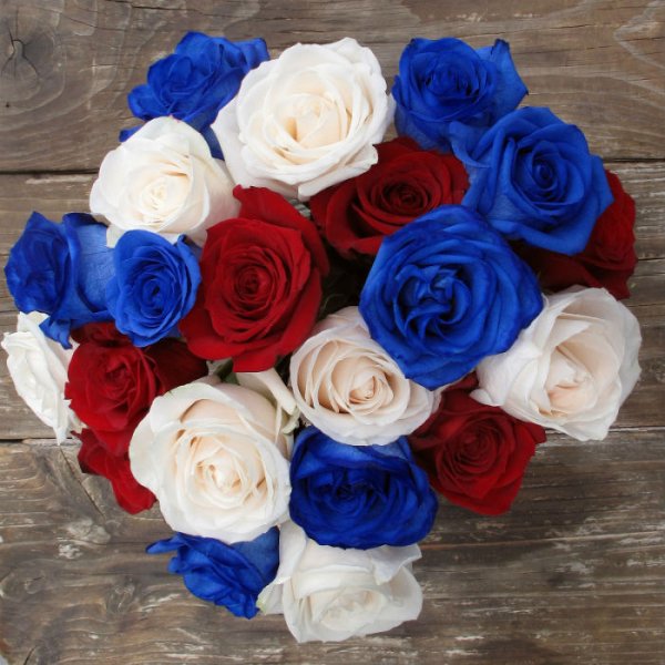 Розы синие белые красные