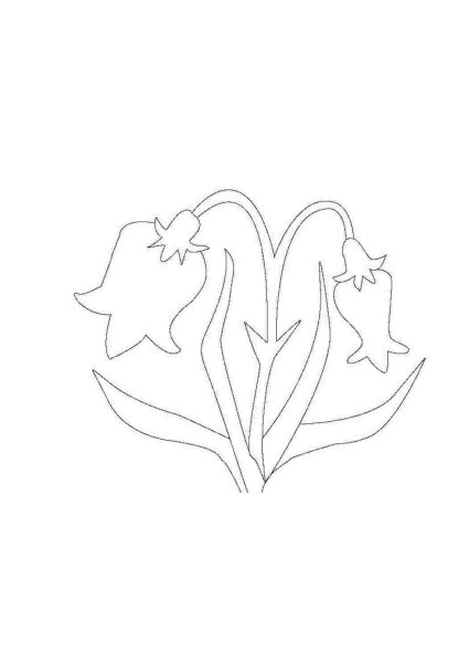 Раскраска цветы вьюны