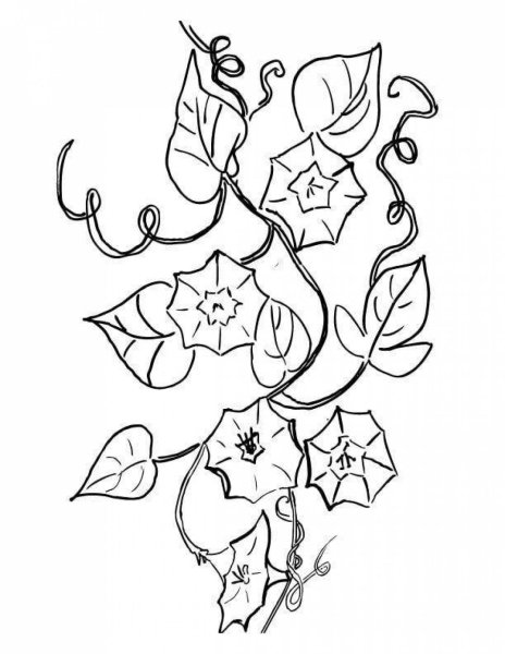 Раскраска новогодние цветы