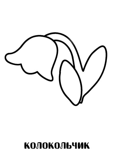 Колокольчик цветок трафарет для детей