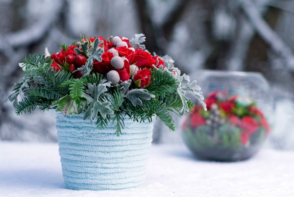 Зимние цветочные композиции