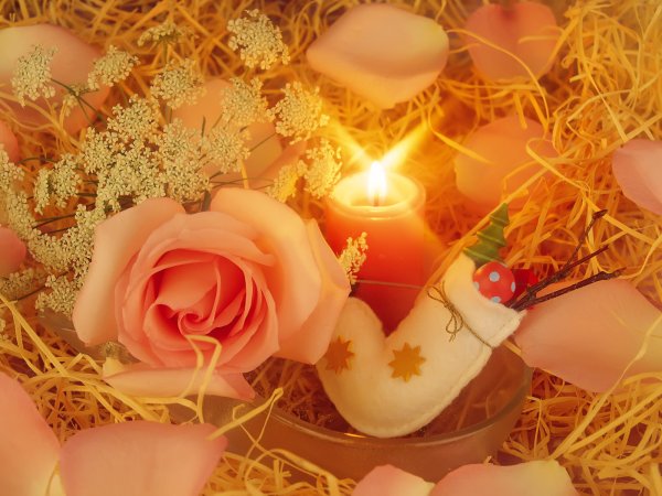 С новым годом розы