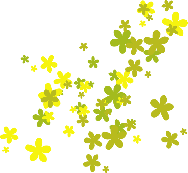 Россыпь цветов на прозрачном фоне