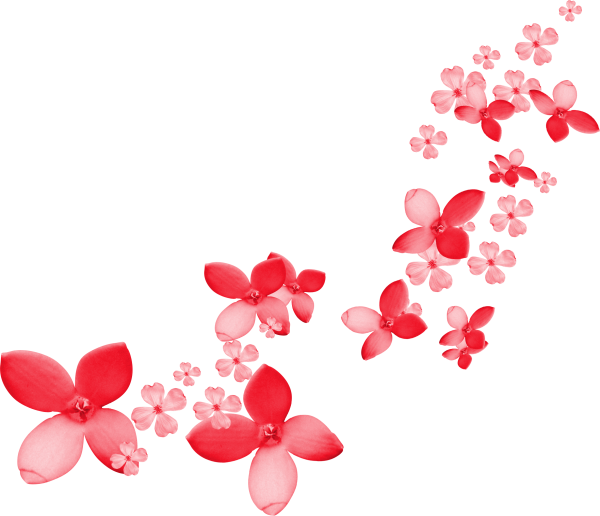 Много разных цветов